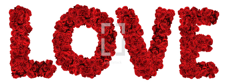 Love letters in red roses.