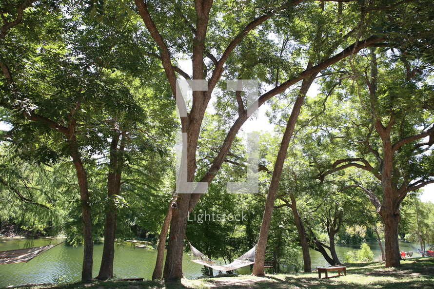 hammocks in trees by a river 