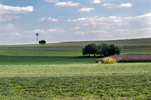 distant windmill on a green landscape 
