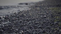 black stones on a beach 