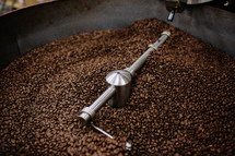 coffee beans in a coffee grinder 