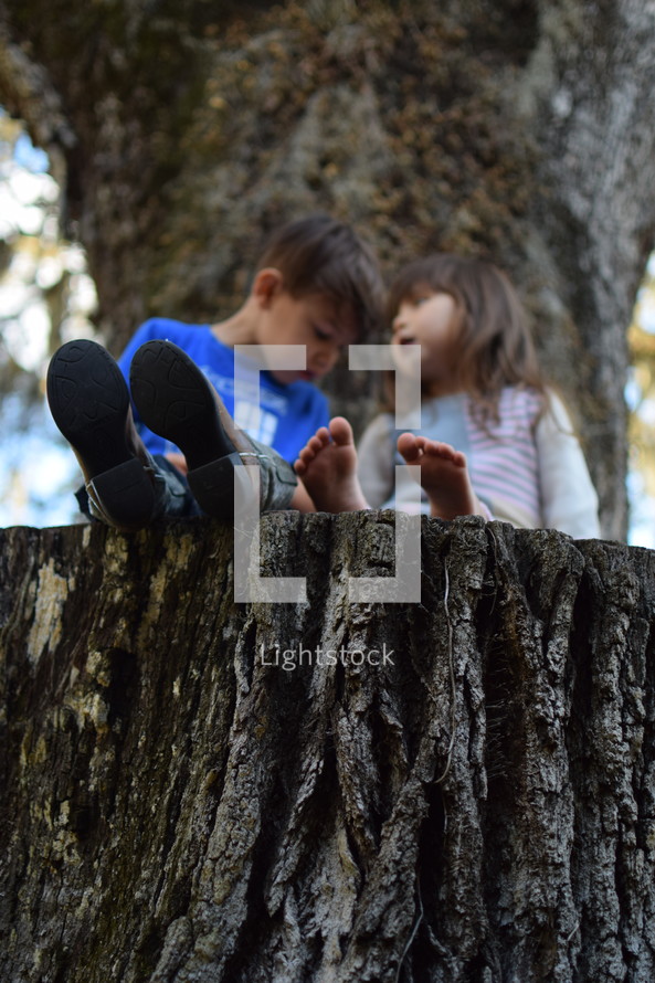 brother and sister sitting on a tree stump 