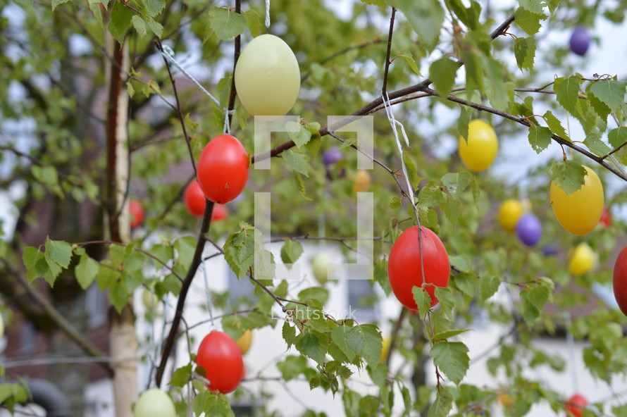Easter eggs hanging in a tree 
