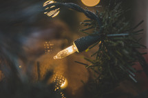 Christmas lights on a Christmas tree 