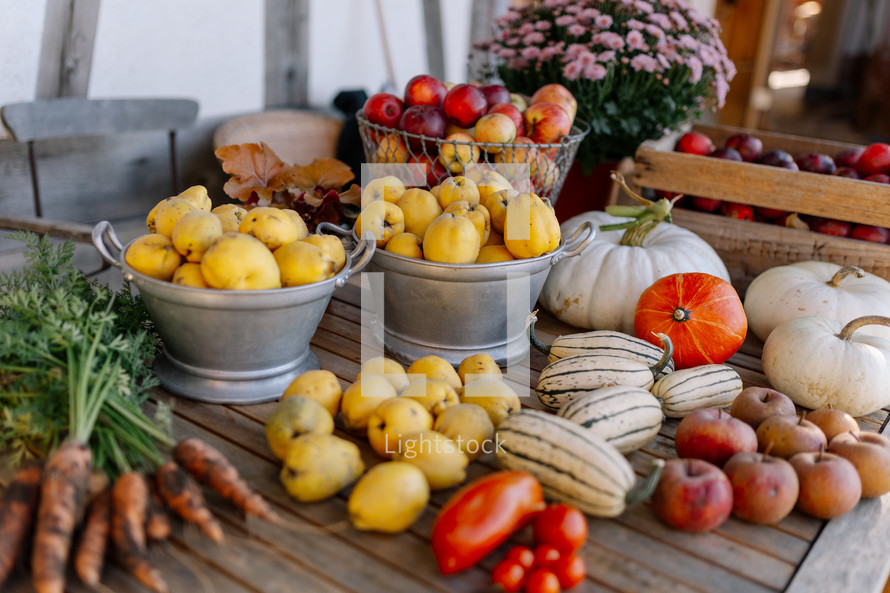 Harvest from the garden