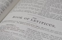 The Book of Leviticus 