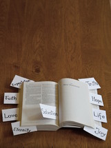 pieces of paper with words on them sticking out of a Bible 