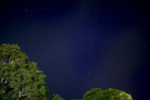 stars in the night sky over tree tops 