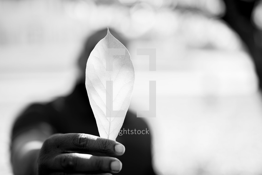 man holding a fall leaf 