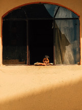 child peeking out a window 