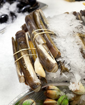 Razor clams on ice for sale at market