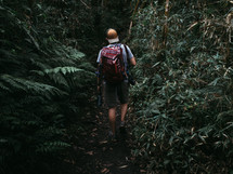 man hiking through a jungle 