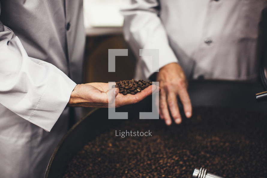coffee beans in a vat 