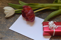 A little present with a blank piece of paper and a red and a white tulip. 
