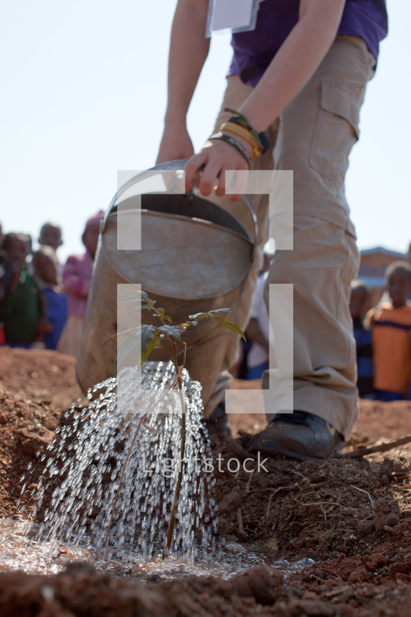 A man watering a garden in Malawi, Africa. 