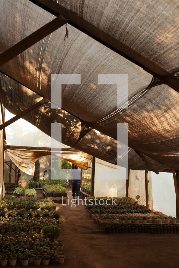 A greenhouse in Malawi, Africa. 