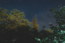 Trees and starry sky at night