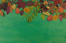 fall leaves on a green background 