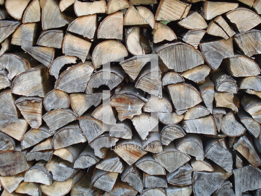 woodpile, 

wood, pile, stack, logs, cut, nature, texture, tree, logger, woodcutter, neat, neatly, piled up
