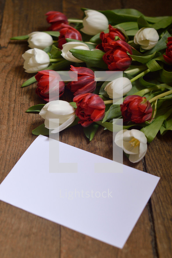 red and white tulips and a blank piece of paper 