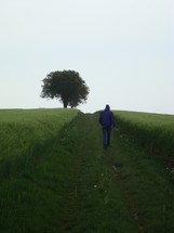 a man walking on a worn path through a field of tall grass 