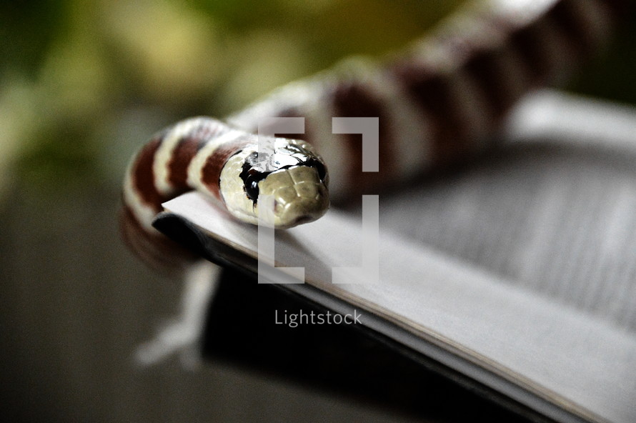 snake with bible opened up at Genesis.