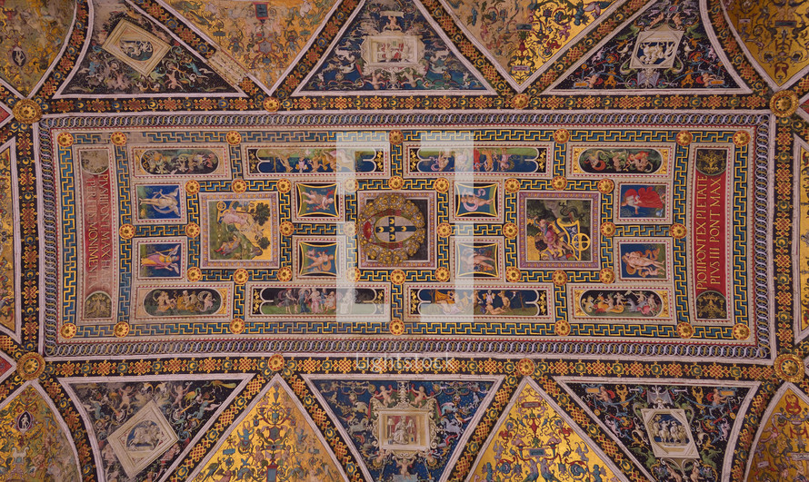 ornate ceiling 