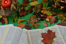 open Bibles and fall leaves 