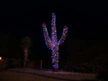A large Saguaro cactus decorated with Christmas lights