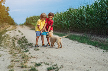 Toddlers twins brothers Playing Frisbee with golden retriever puppy on wonderland country road. Amazing sunset light. Kids with doggy. Happy friendly pet, cinematic unforgettable moments. High quality