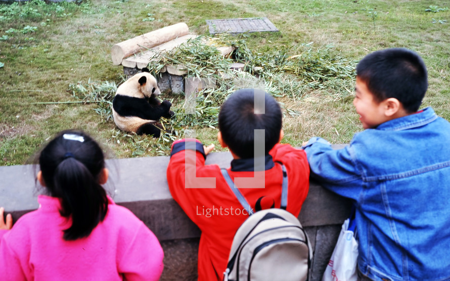 children watching a panda at a zoo 