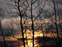 sunset and winter trees 
