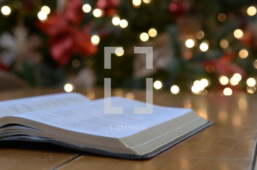 open Bible on a coffee table and Christmas tree in the background 