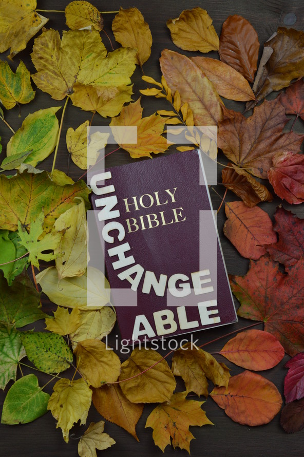 fall leaves border around a Bible - 
colorful changeable autumn leaves in color gradient on brown wood with a bible in the middle and the word UNCHANGEABLE on it