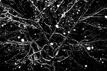 abstract winter tree and snow background 