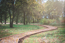 a wooden trail in a park 