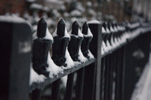 snow on a wrought iron fence 