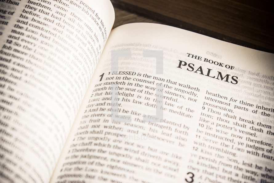 The book of Psalms 