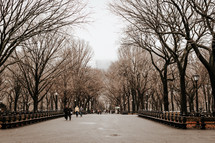 central Park in NYC 