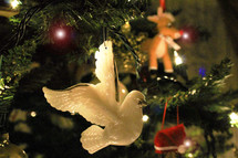Holy Spirt Dove ornament on a Christmas tree surrounded by Christmas lights and other Christmas ornaments on a Christmas tree during the Christmas holiday season. 