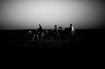 wisemen traveling on camels at dusk 