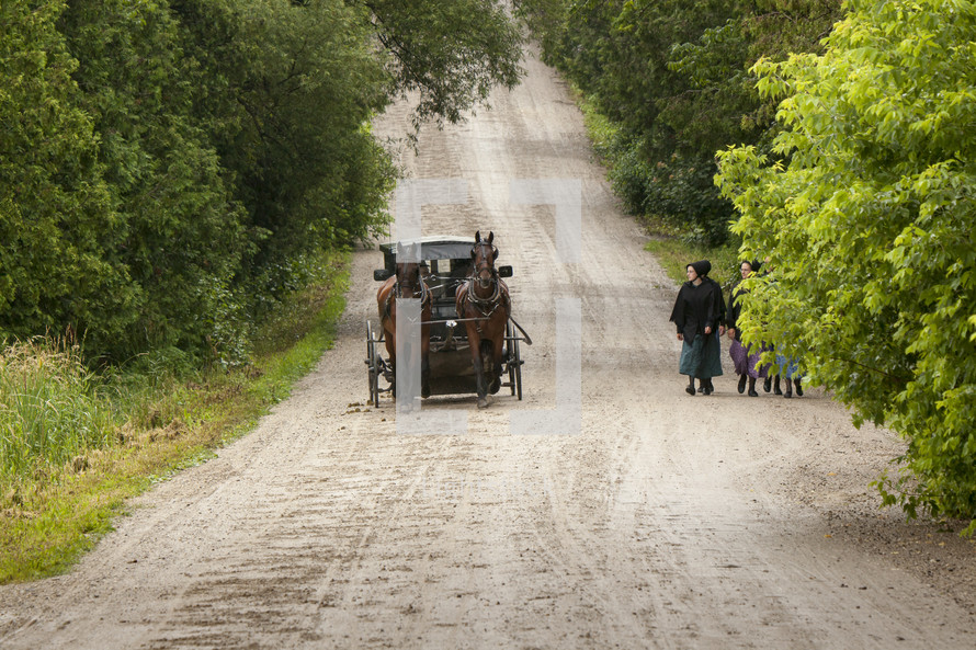 Amish homeward bound 