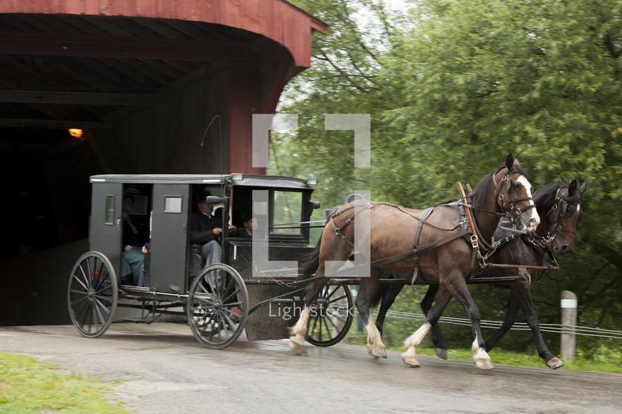 horse and carriage through a covered bridge