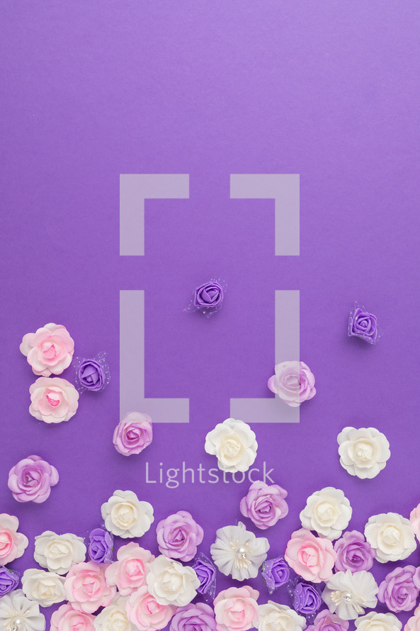 Bed of purple and white Flowers flay layer background