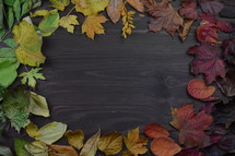 gradient fall leaf border on brown wood with cops space in the middle