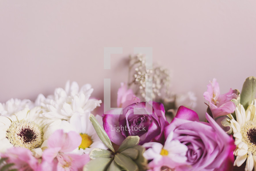 flowers on a pink background 