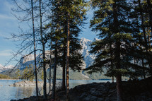 lake, snow capped mountains and evergreen forest 