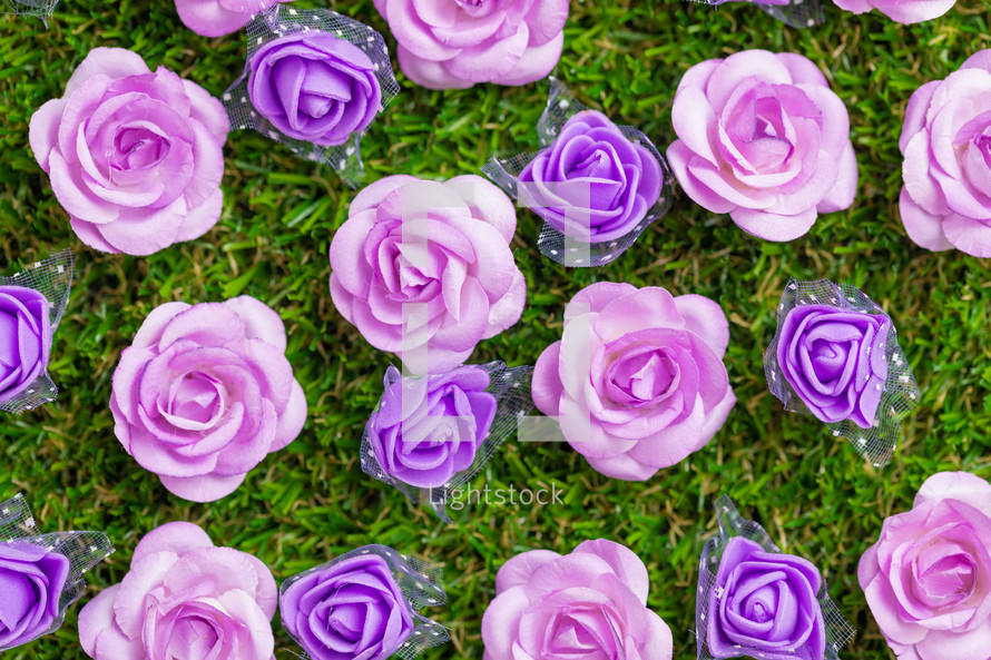 Bed of pink and purple Flowers flay layer meadow background