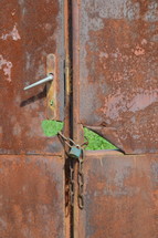 lock on a rusty door 