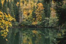 Autumn colors in the forest by the lake